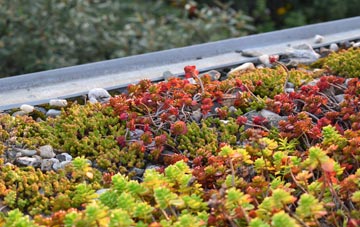 the cost of Treal green roof installation